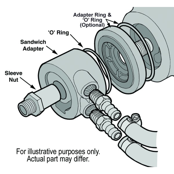 15405-Illustration-collection.jpg