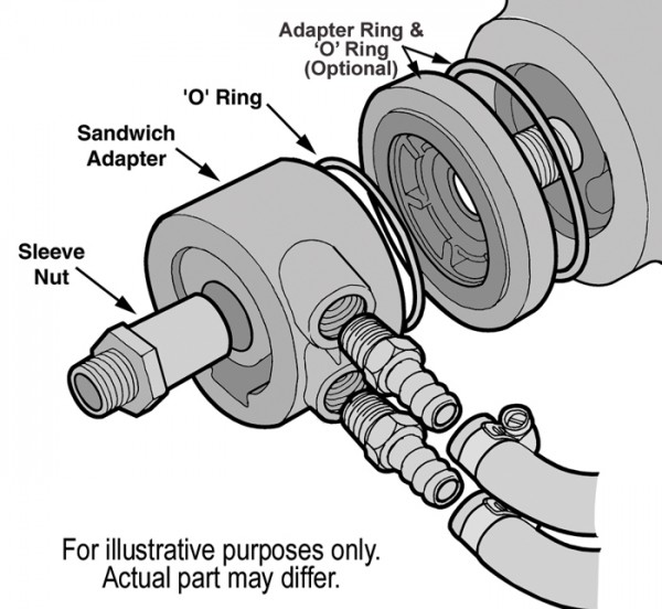 15500-Illustration-1-collection.jpg