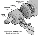 15500-Illustration-1-collection.jpg