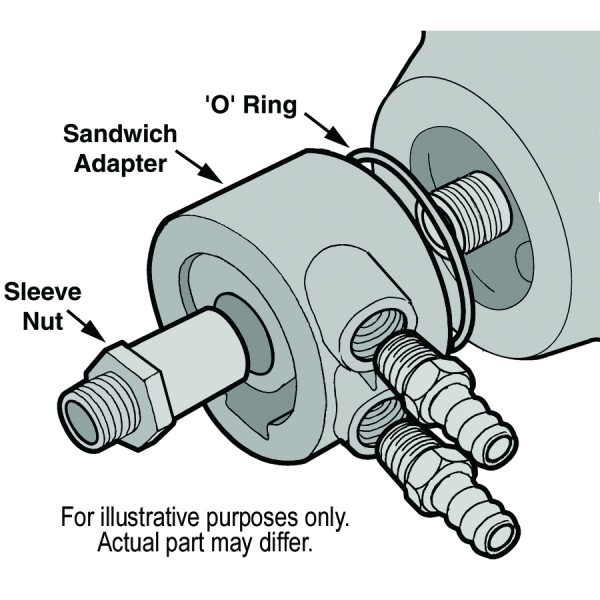 15502-Illustration-collection.jpg