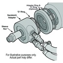 15505-Illustration-collection.jpg