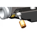 15602-Illustration-collection.jpg