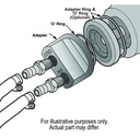 15651-Illustration-collection.jpg