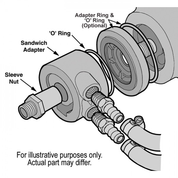 15660-Illustration-collection.jpg