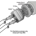 15705-Illustration-collection.jpg
