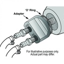 15718-Illustration-collection.jpg
