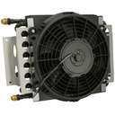 15900-Alt-Image1-collection.jpg