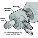 25702-Illustration-collection.jpg