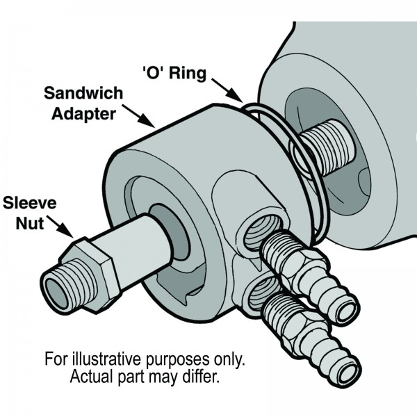 25773-Illustration-collection.jpg