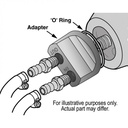 15703-Illustration-collection.jpg