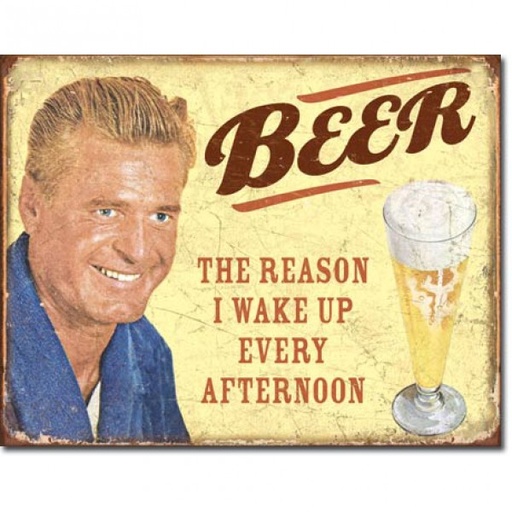 [MSI1749] Beer The Reason I Wake Up Every Afternoon Metal Sign Reproduction 41cm x 32cm